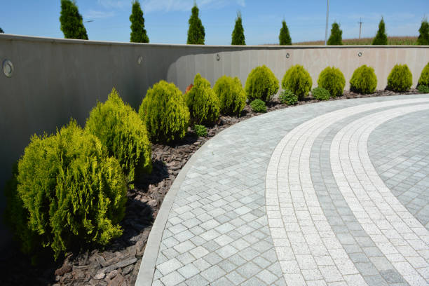 Best Driveway Paving Contractor  in Spring Lake, NC